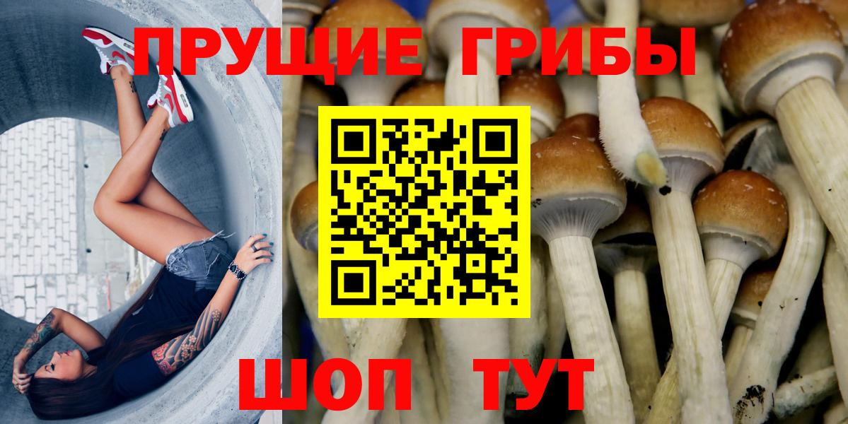 Галлюциногенные грибы мухоморы  Вход с VPN  Псилоцибиновые грибы Psilocybe  Ногинск 